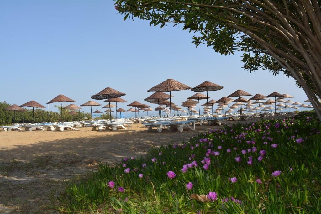The Garden Beach Hotel Konaklı Kültér fotó